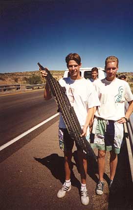 Tucson 1995 - 33